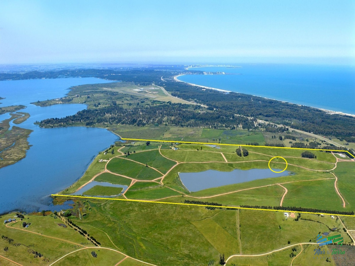 Laguna de los Cisnes - GoPunta - Portal Inmobiliario de Punta del Este - Maldonado