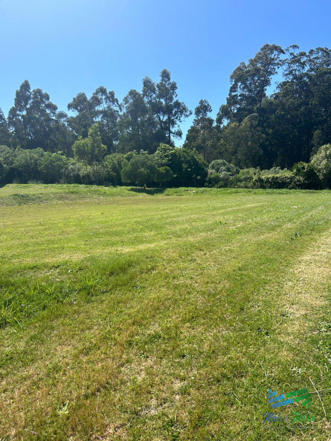 Terreno ID.5017 - En venta terreno en barrio privado Verde Mora, Punta del Este