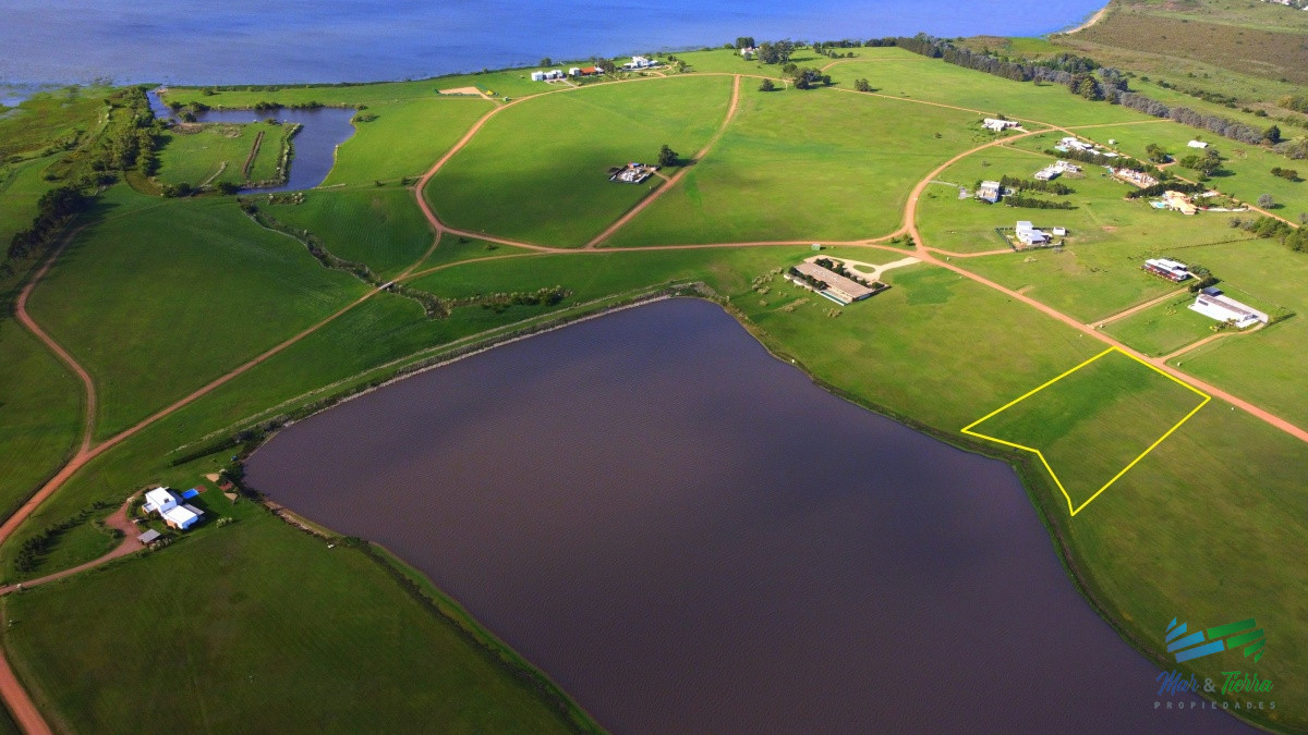 Laguna de los Cisnes - GoPunta - Portal Inmobiliario de Punta del Este - Maldonado