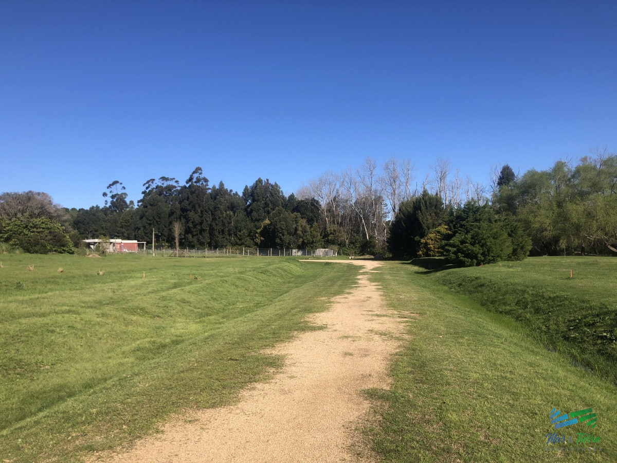 Terreno ID.3996 - Venta de terreno de 2000 m2 zona Punta Ballena, Punta del Este