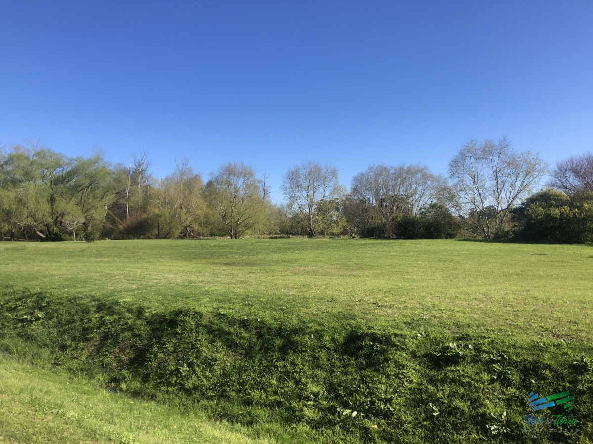 Terreno ID.3996 - Venta de terreno de 2000 m2 zona Punta Ballena, Punta del Este