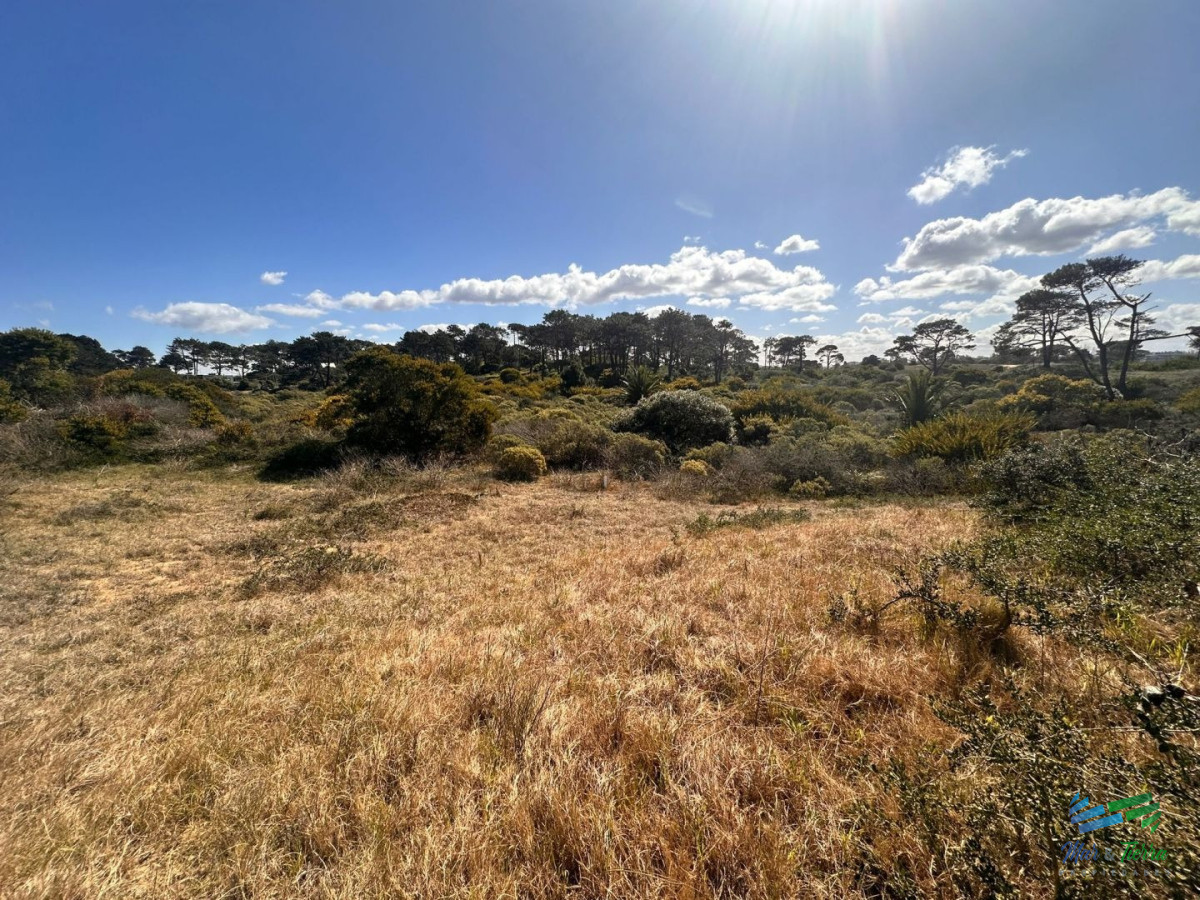 Terreno ID.5245 - En venta terreno 1.030 m2 en Rincon del Indio, Punta del Este