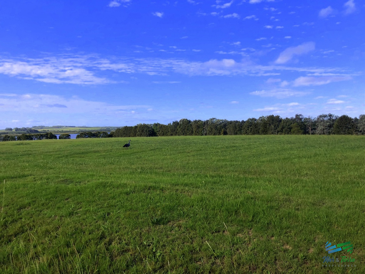 Terreno ID.4260 - Venta de gran terreno en Laguna de los Cisnes Punta Ballena