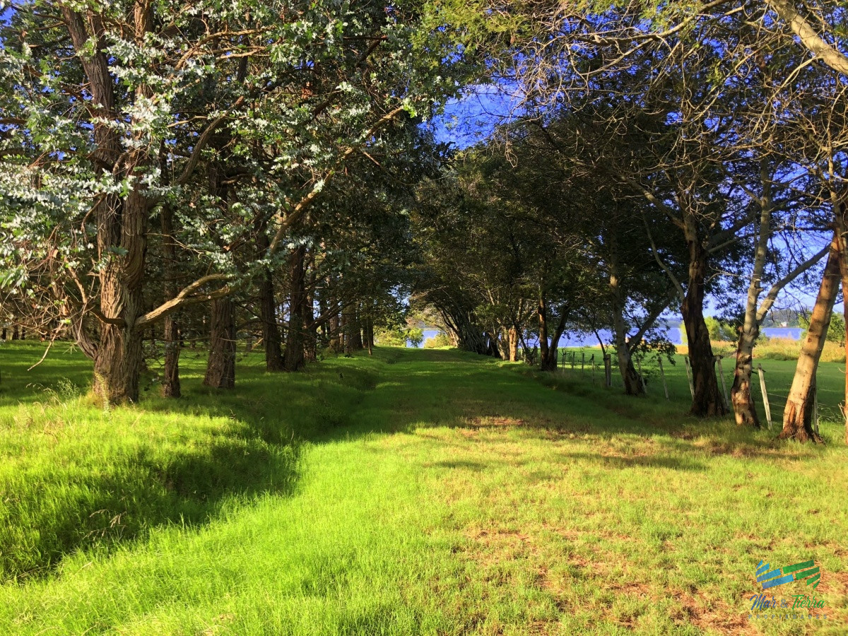 Terreno ID.4254 - Venta de  terreno proximo al aeropuesrto de Punta del Este en laguna de los cisnes