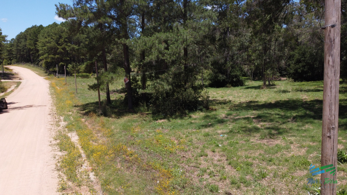 Terreno ID.4949 - Vendo terreno de 1 hectárea tipo chacra en Laguna del Diario, Punta del Este