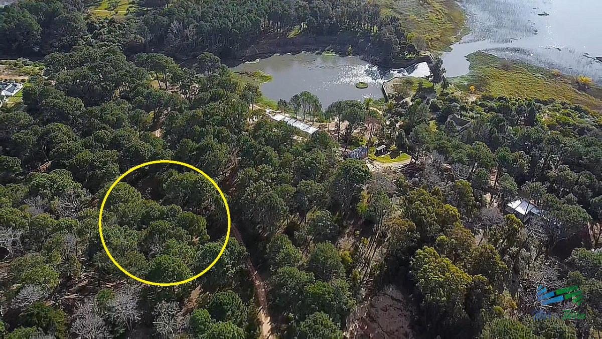 Club del Lago - GoPunta - Portal Inmobiliario de Punta del Este - Maldonado