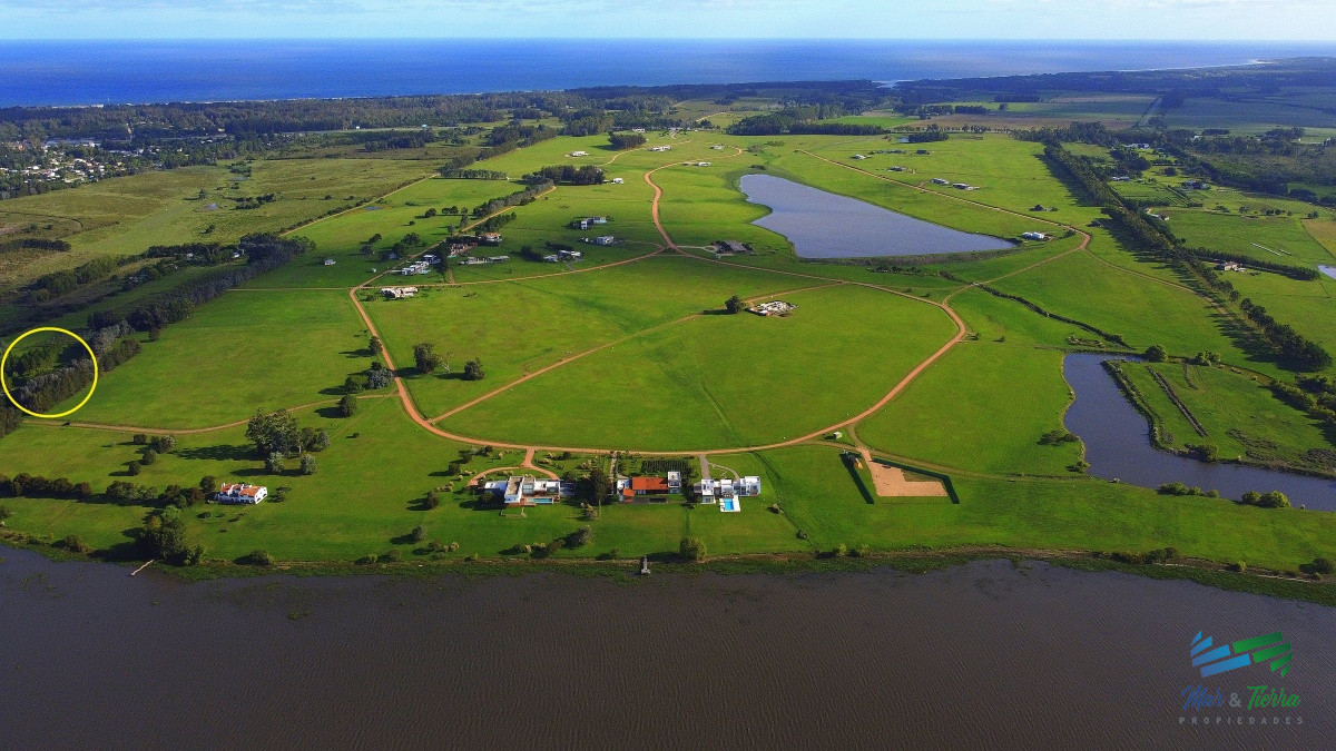 Laguna de los Cisnes - GoPunta - Portal Inmobiliario de Punta del Este - Maldonado