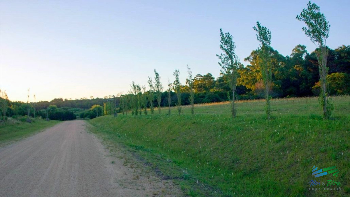 Los Tordillos - GoPunta - Portal Inmobiliario de Punta del Este - Maldonado