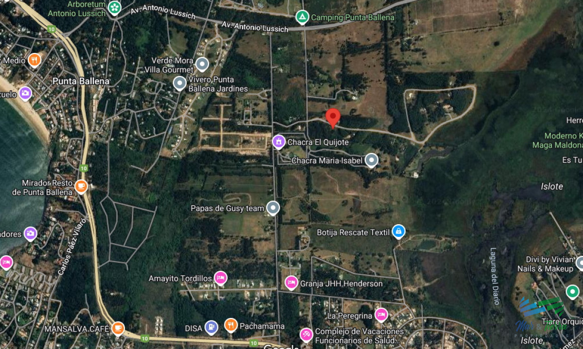 Terreno ID.4949 - Vendo terreno de 1 hectárea tipo chacra en Laguna del Diario, Punta del Este