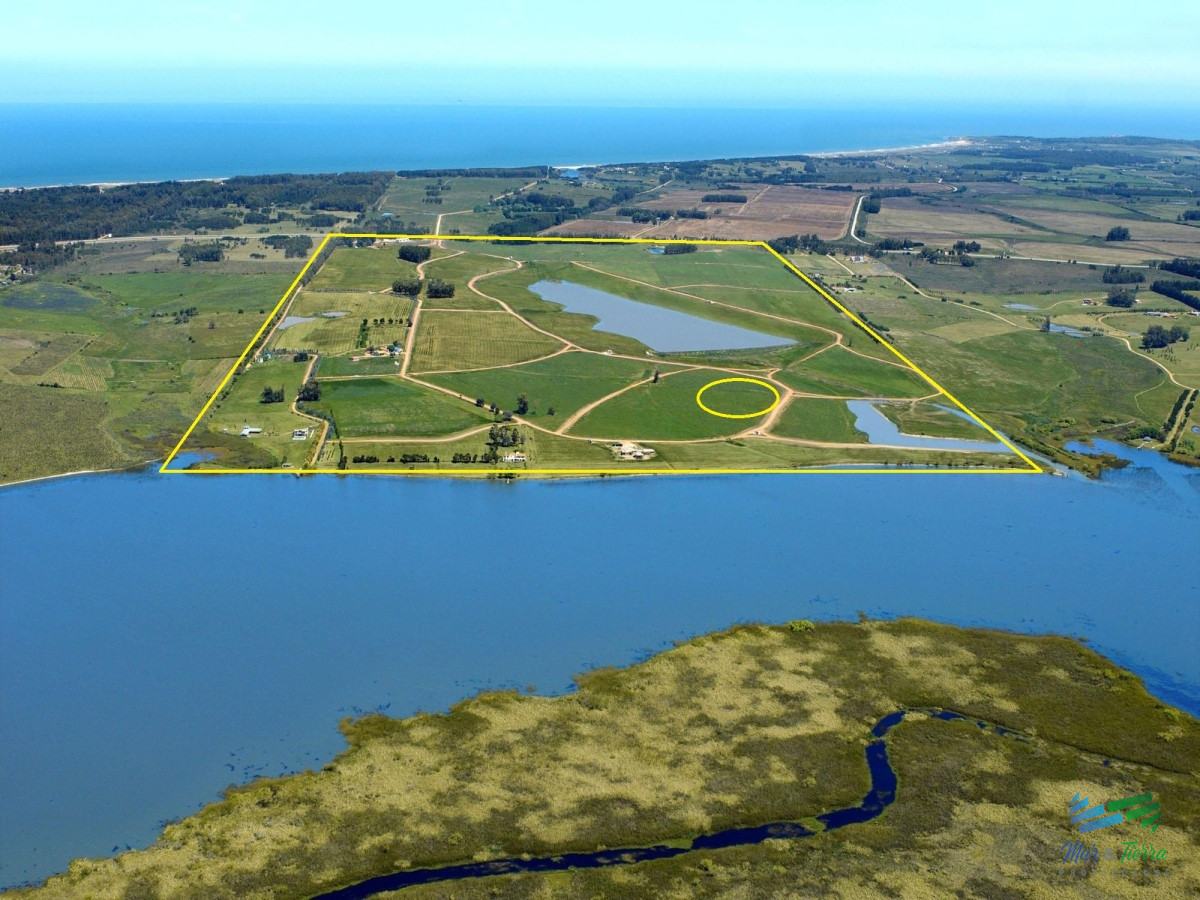 Laguna de los Cisnes - GoPunta - Portal Inmobiliario de Punta del Este - Maldonado