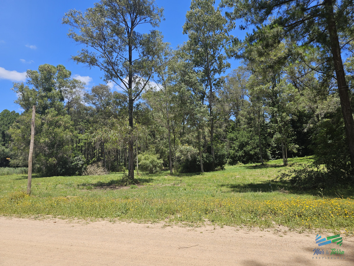 Laguna del Diario - GoPunta - Portal Inmobiliario de Punta del Este - Maldonado