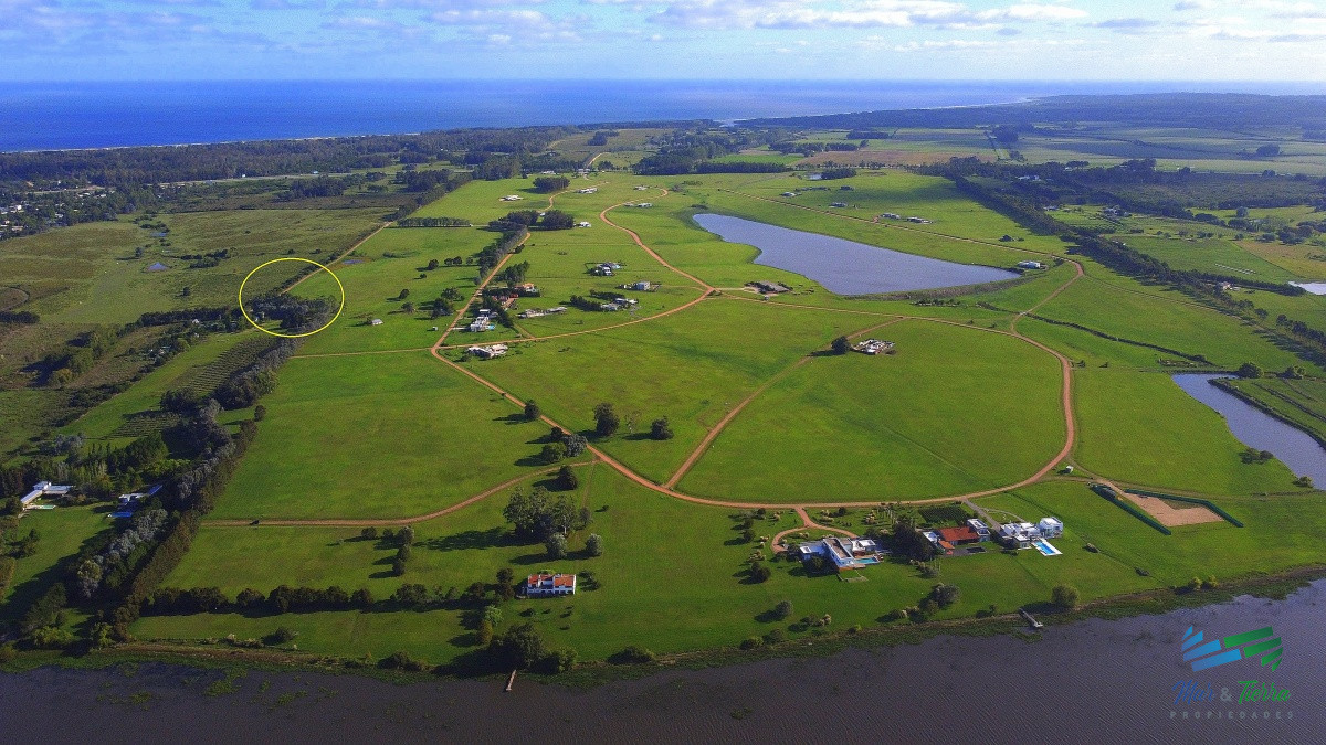 Laguna de los Cisnes - GoPunta - Portal Inmobiliario de Punta del Este - Maldonado