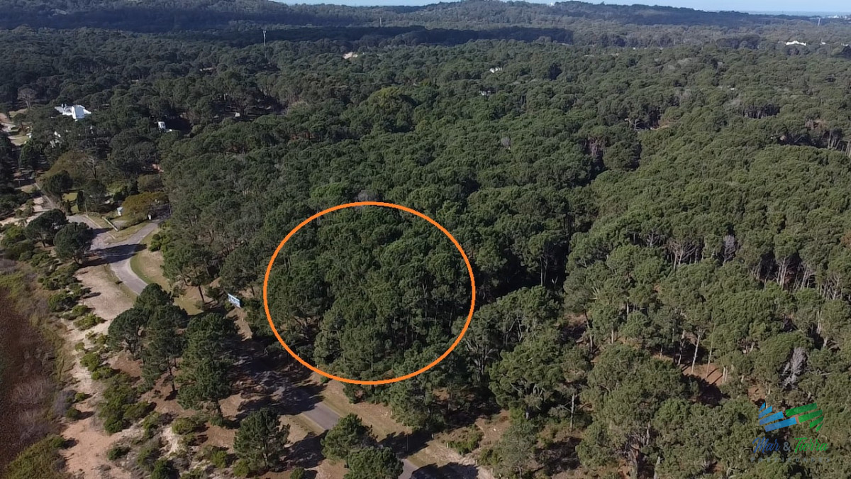 Club del Lago - GoPunta - Portal Inmobiliario de Punta del Este - Maldonado