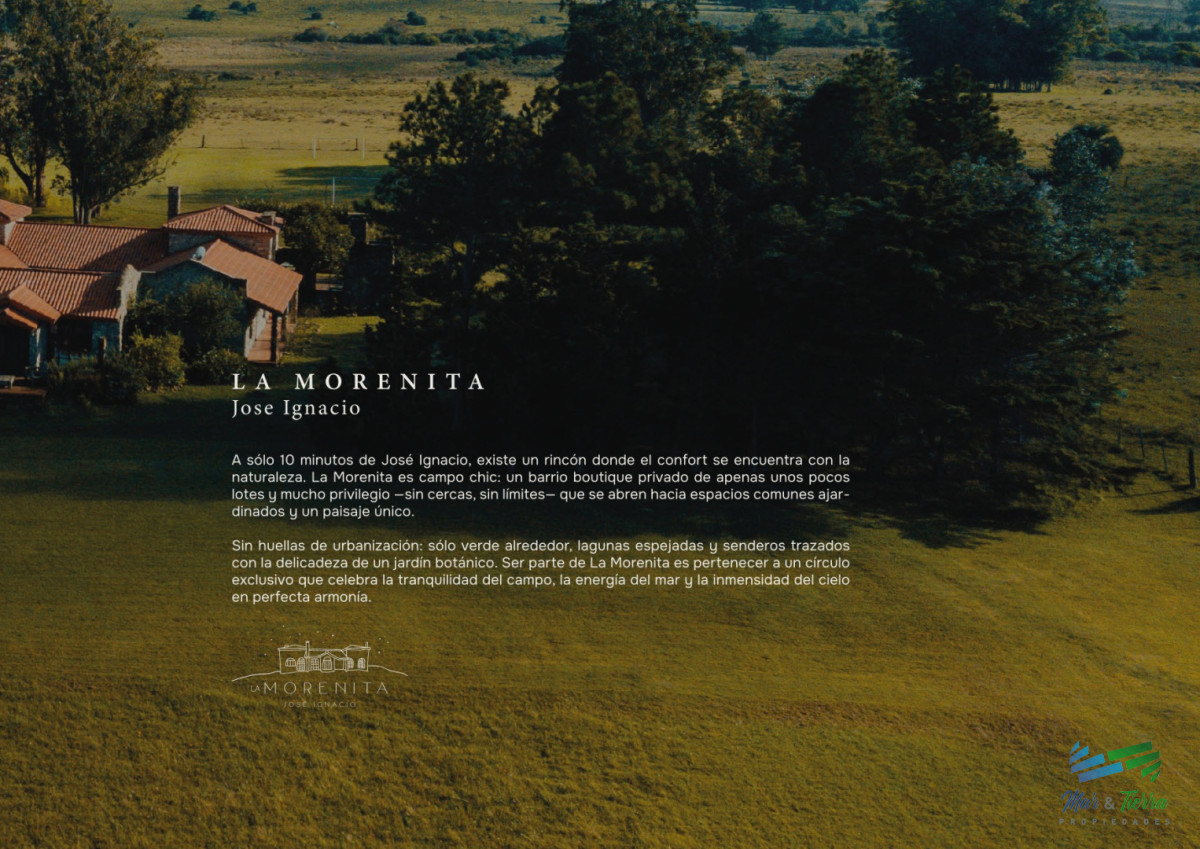 Terreno ID.5569 - Venta de varios lotes de 4000 m2 en zona José Ignacio