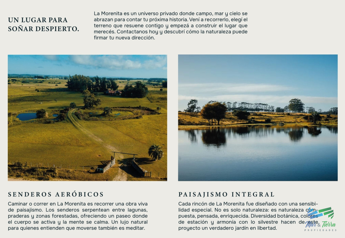 Terreno ID.5569 - Venta de varios lotes de 4000 m2 en zona José Ignacio