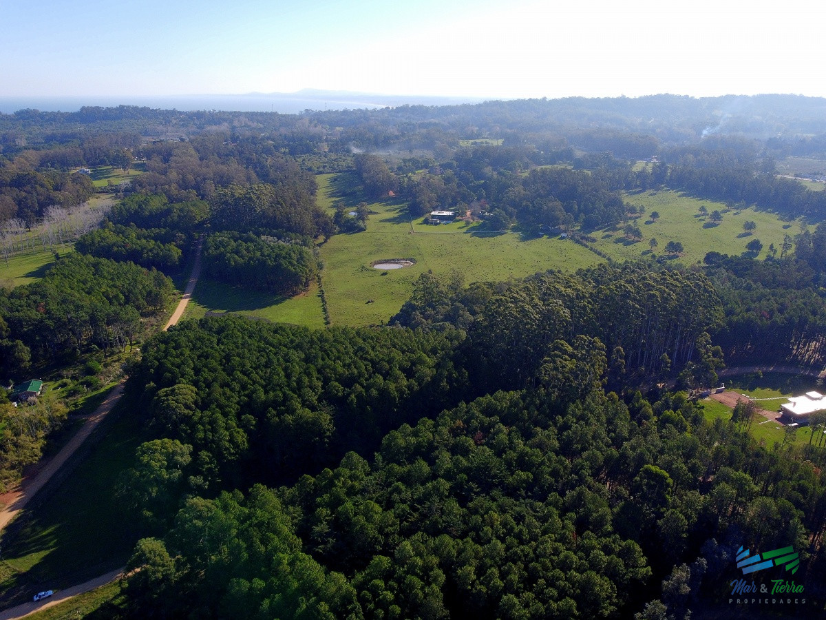 Terreno ID.4363 - Venta de terreno de 10.000 m2 en Las Silvias, Punta del este