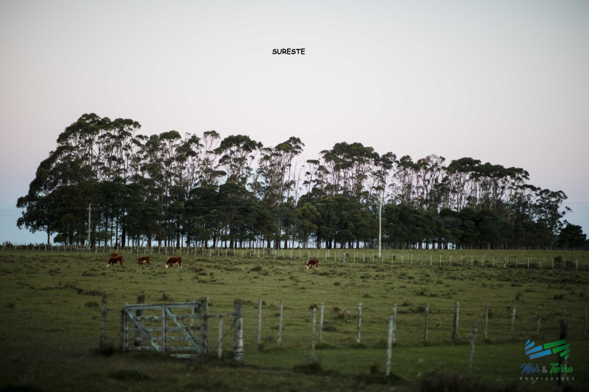 Terreno ID.5566 - Venta de terreno con 4.000 m2 en La Morenita José Igncio