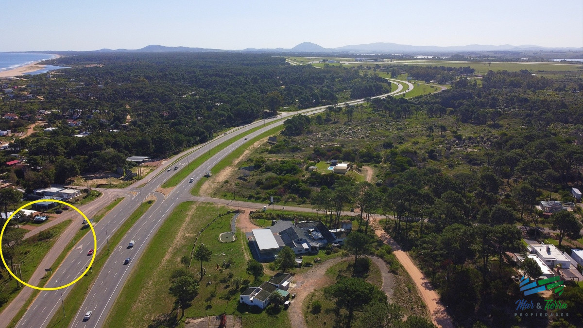 Tio Tom - GoPunta - Portal Inmobiliario de Punta del Este - Maldonado
