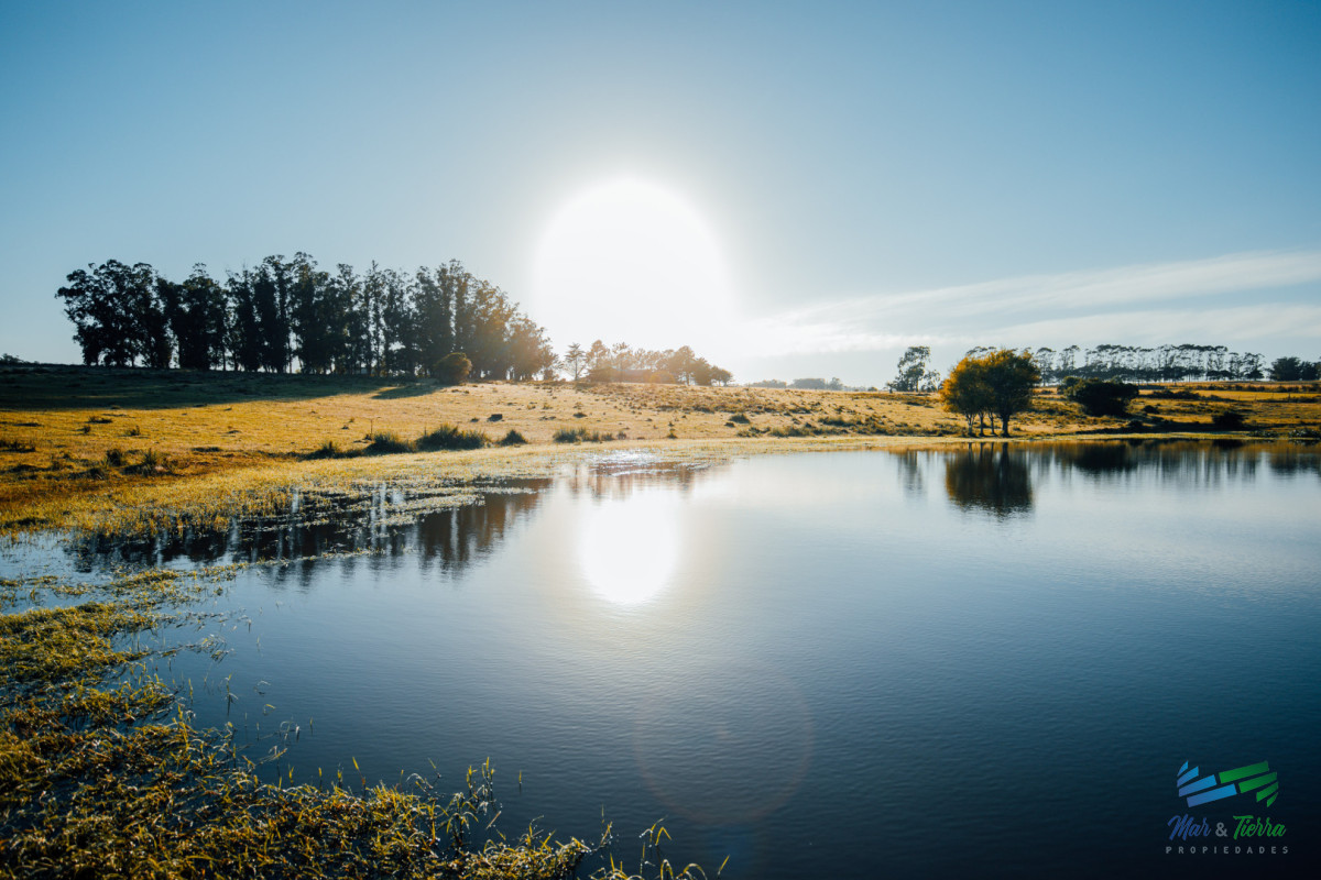 Terreno ID.5566 - Venta de terreno con 4.000 m2 en La Morenita José Igncio