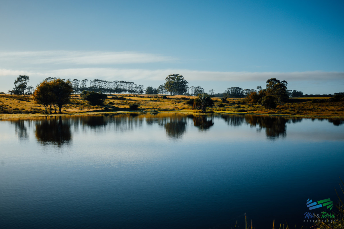 Terreno ID.5566 - Venta de terreno con 4.000 m2 en La Morenita José Igncio