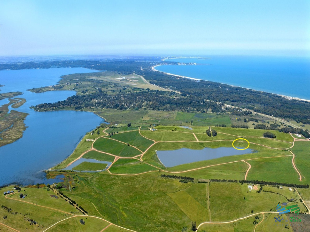Laguna de los Cisnes - GoPunta - Portal Inmobiliario de Punta del Este - Maldonado
