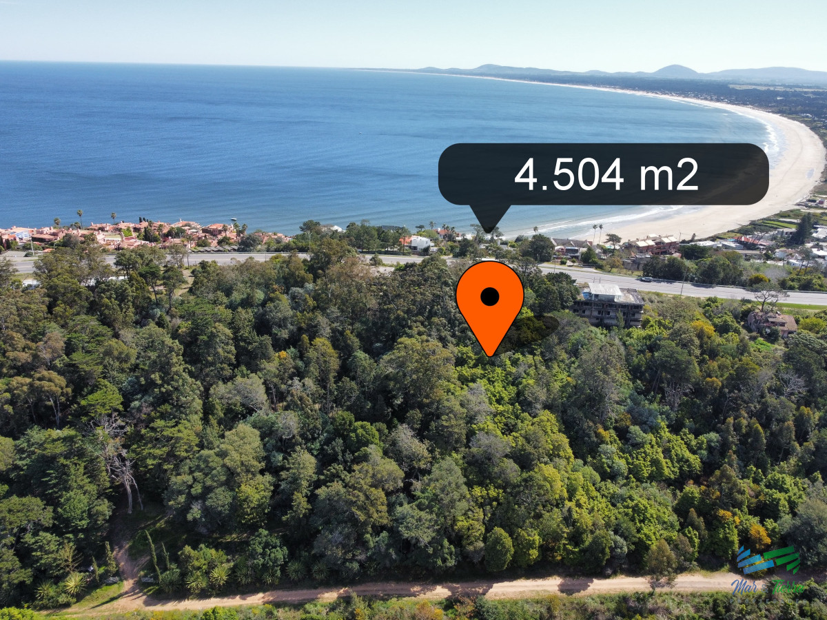 Lomo de la Ballena - GoPunta - Portal Inmobiliario de Punta del Este - Maldonado