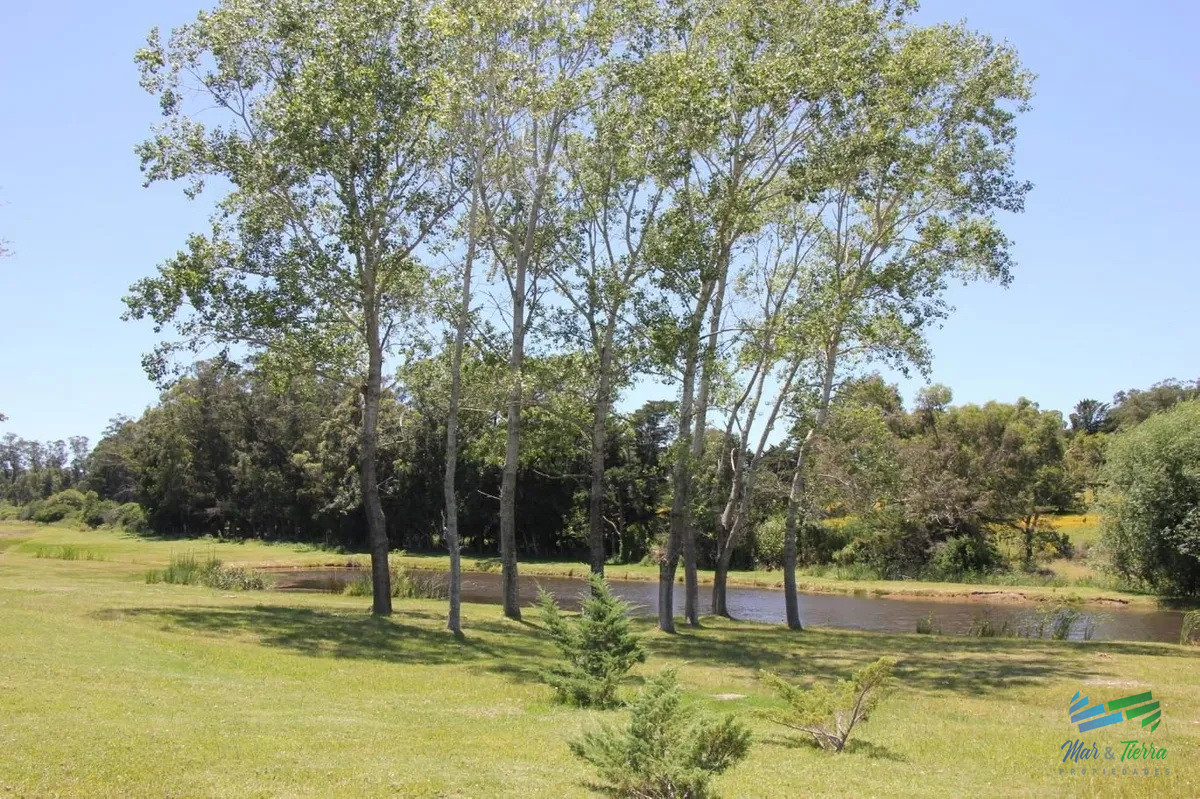 Terreno ID.3304 - Vendo Terreno 1.500 m2 en Barrio Privado Verde Mora, Punta Ballena, Punta del Este.