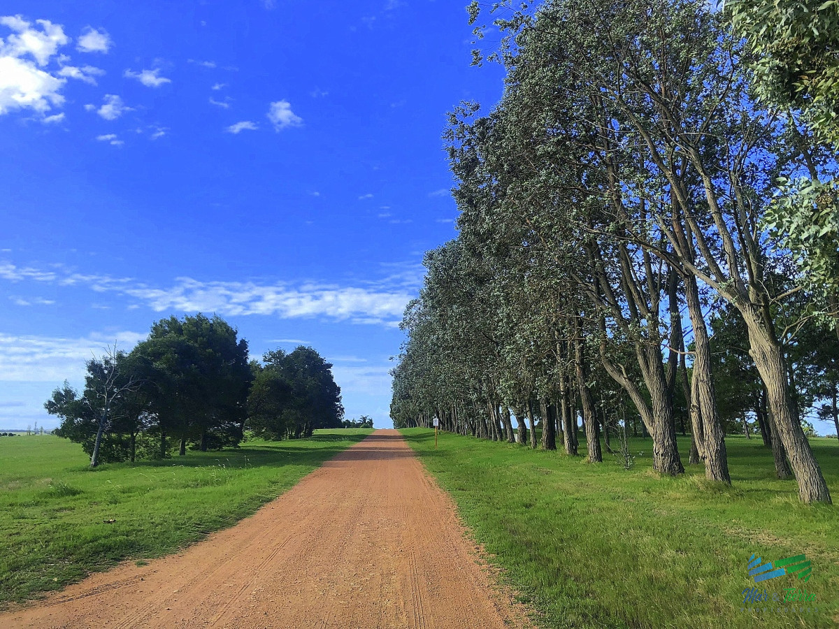 Terreno ID.4807 - Venta de terreno en Laguna de los Cisnes 