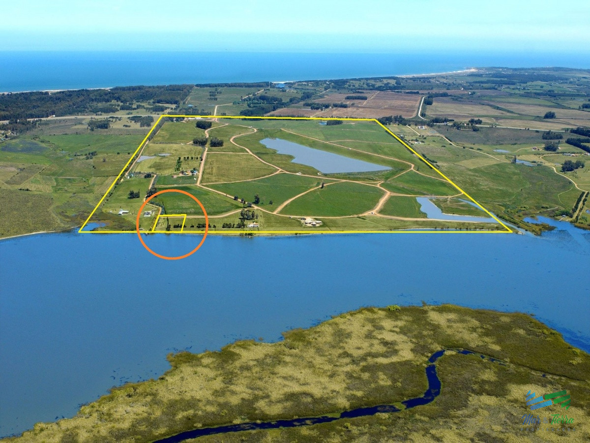 Laguna de los Cisnes - GoPunta - Portal Inmobiliario de Punta del Este - Maldonado