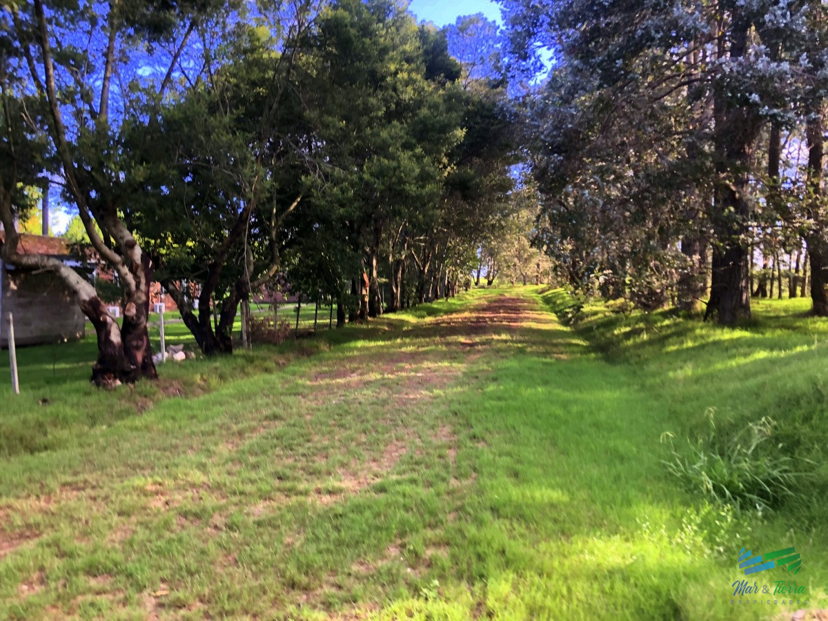 Terreno ID.4256 - Terreno de mas de 5000 m2 con costa de laguna en Laguna de los Cisnes