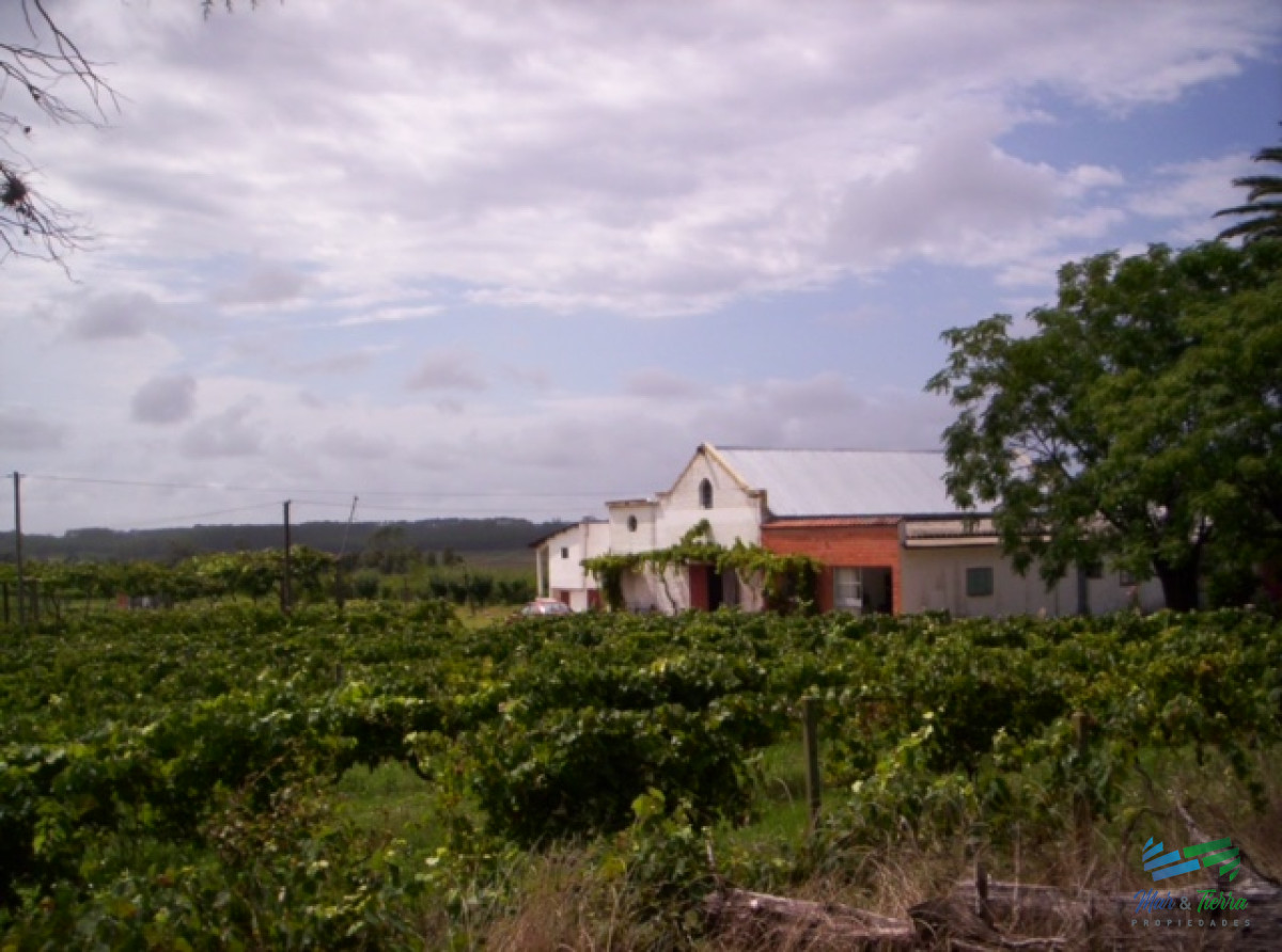 Terreno ID.3696 - 35 Has Sub-Urbanas con Costa a la Laguna del Diario