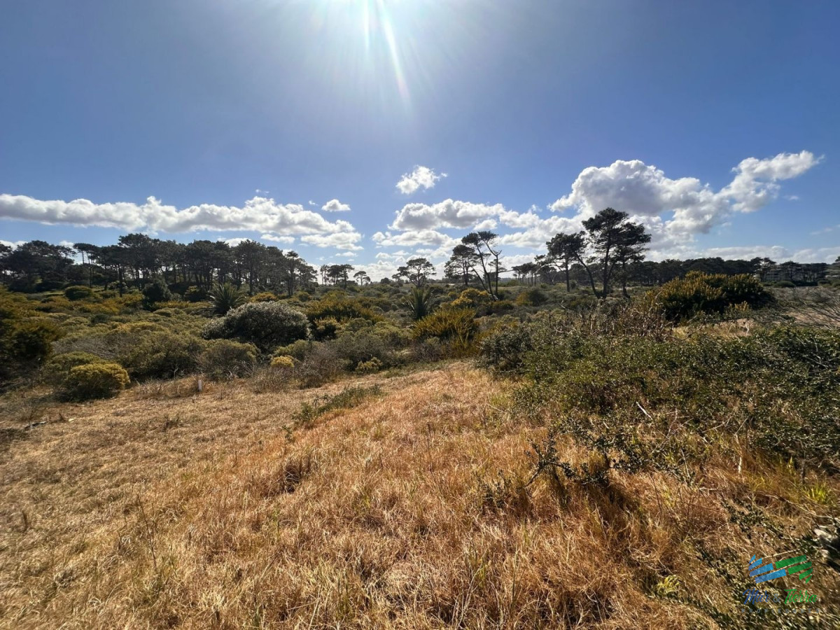En venta terreno 1.030 m2 en Rincon del Indio, Punta del Este - GoPunta - Portal Inmobiliario de Punta del Este - Maldonado