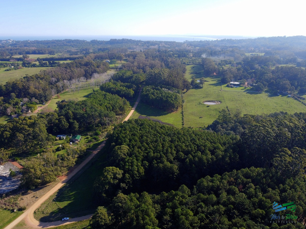 Terreno ID.4363 - Venta de terreno de 10.000 m2 en Las Silvias, Punta del este