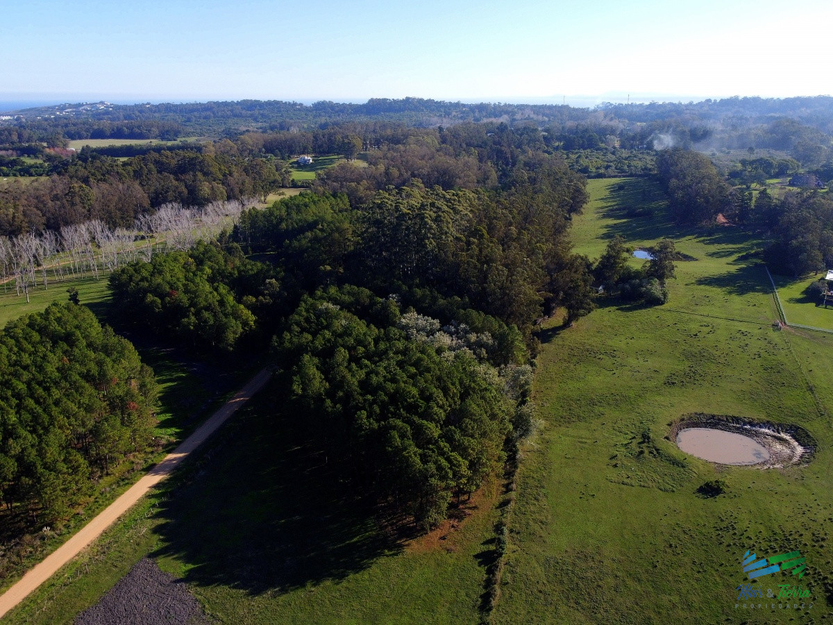 Terreno ID.4362 - Venta de terreno de 10.000 m2 en Punta del este, Laguna del Diario