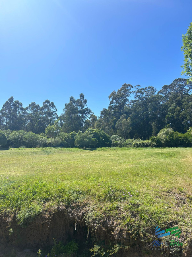 Terreno ID.5017 - En venta terreno en barrio privado Verde Mora, Punta del Este