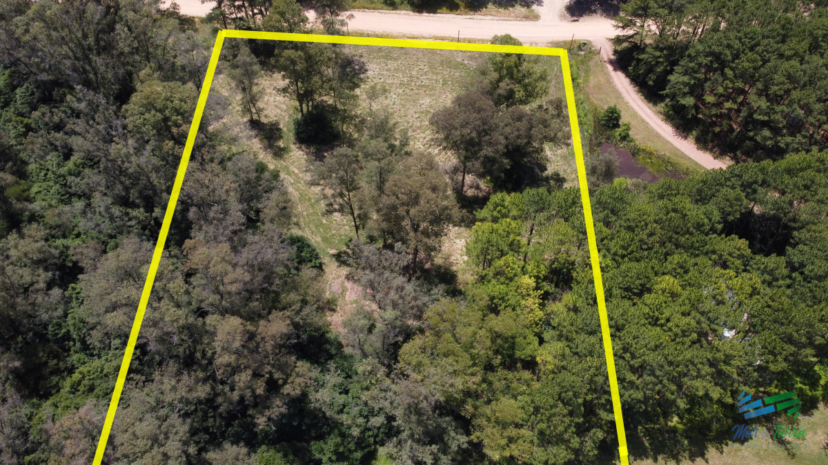 Laguna del Diario - GoPunta - Portal Inmobiliario de Punta del Este - Maldonado