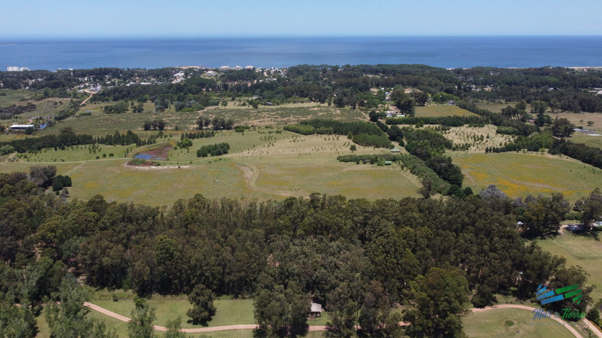 Terreno ID.4949 - Vendo terreno de 1 hectárea tipo chacra en Laguna del Diario, Punta del Este