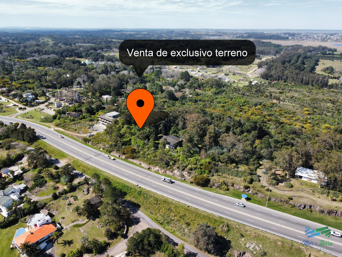Lomo de la Ballena - GoPunta - Portal Inmobiliario de Punta del Este - Maldonado