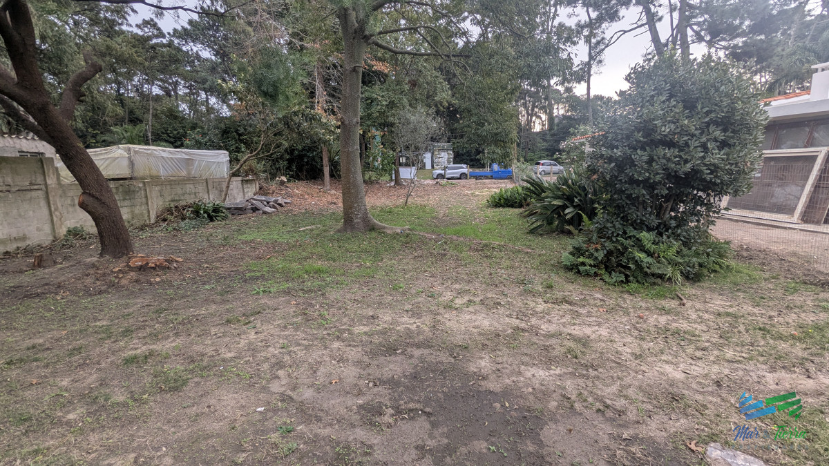 San Rafael - GoPunta - Portal Inmobiliario de Punta del Este - Maldonado