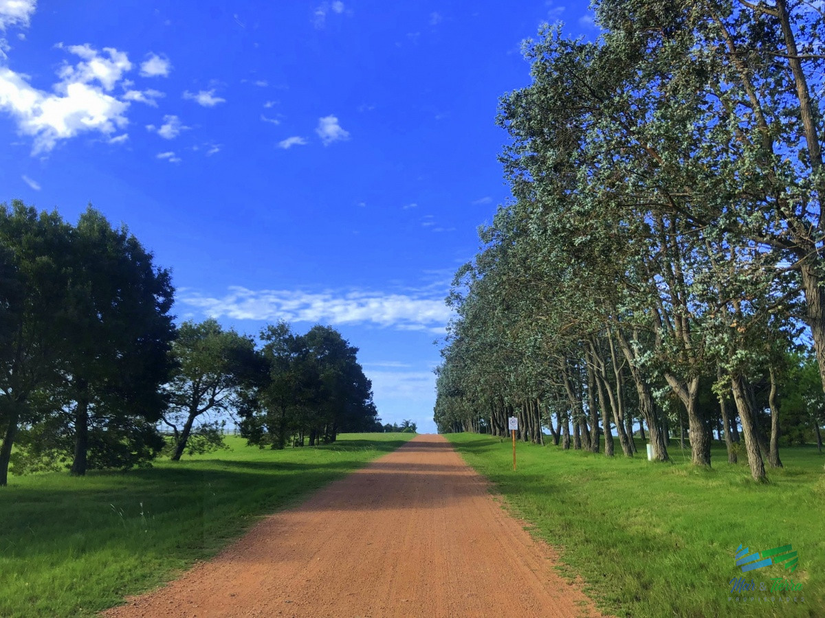 Terreno ID.4253 - Venta de terreno con gran superficie en laguna de los cisnes sobre ruta interbalnearia