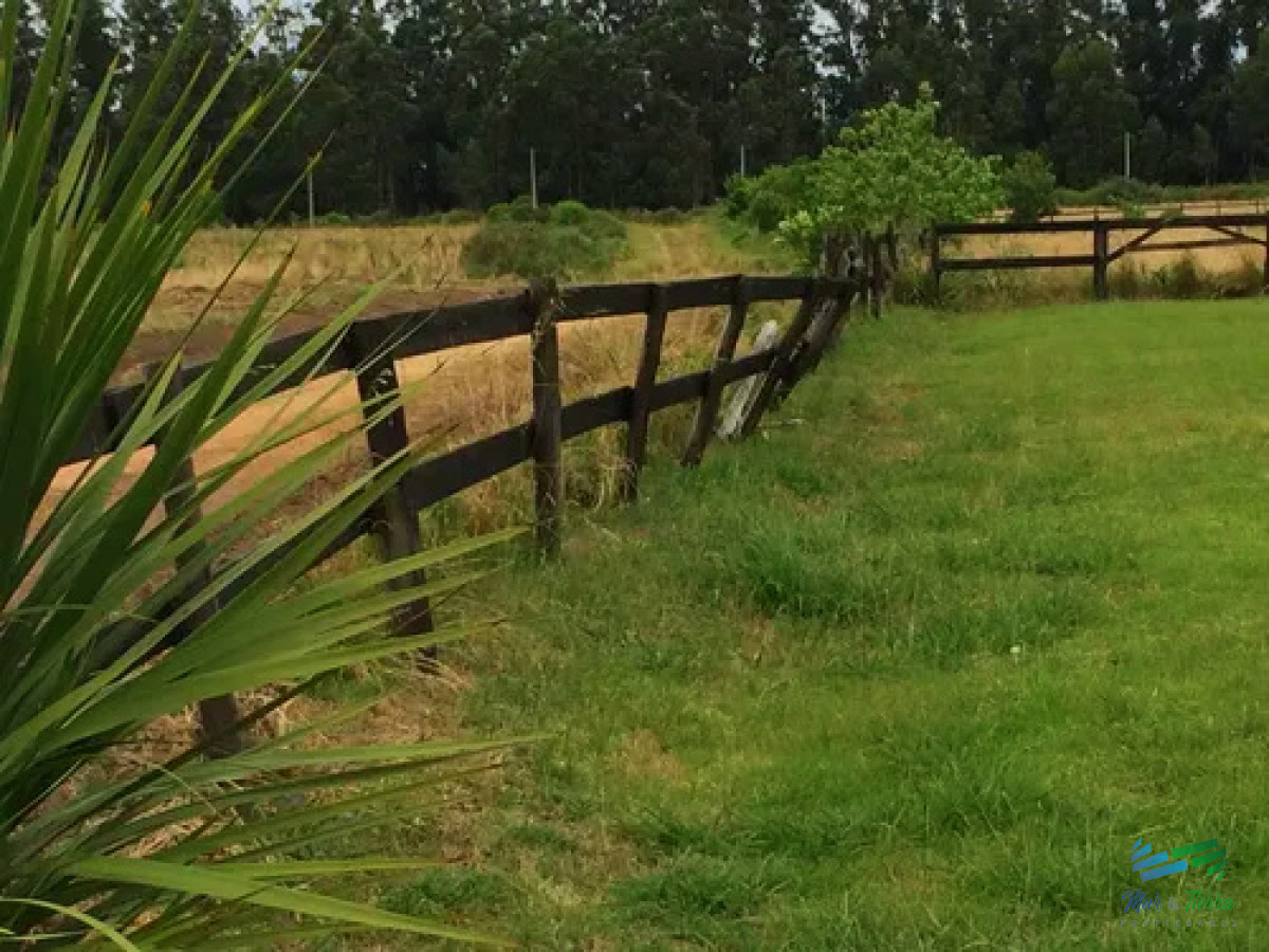 Camino Eguzquiza - GoPunta - Portal Inmobiliario de Punta del Este - Maldonado