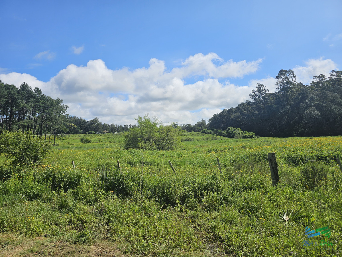 Terreno ID.4365 - Venta de terreno de 4.000 m2 en las Silvias Punta del Este, Laguna del diario