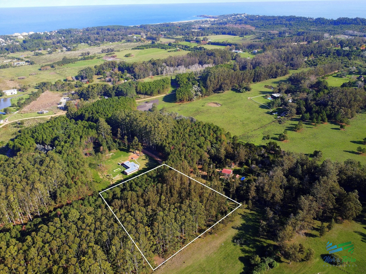 Terreno ID.4347 - Vendo terreno de 1 hectárea tipo chacra en Laguna del Diario, Punta del Este