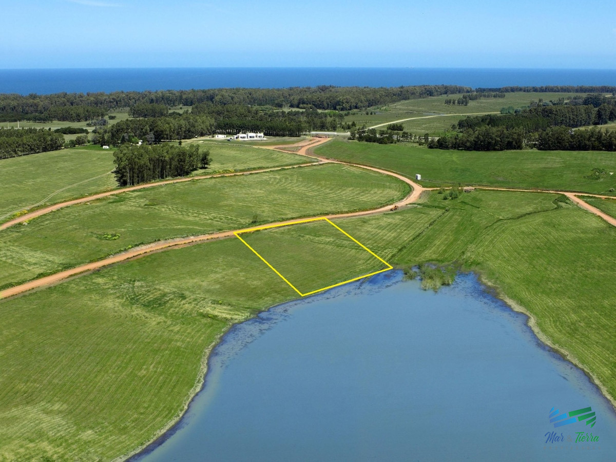 Laguna de los Cisnes - GoPunta - Portal Inmobiliario de Punta del Este - Maldonado
