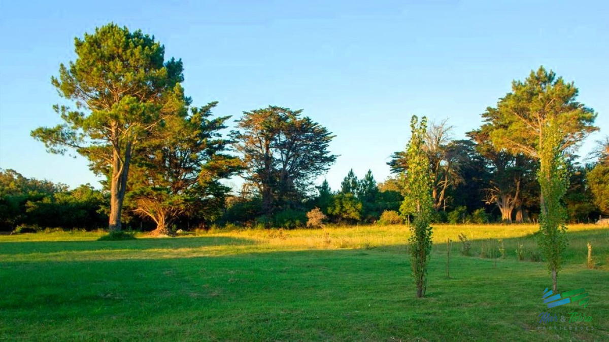 Terreno ID.3996 - Venta de terreno de 2000 m2 zona Punta Ballena, Punta del Este