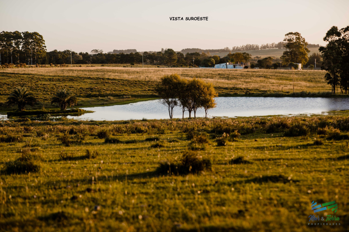 Terreno ID.5566 - Venta de terreno con 4.000 m2 en La Morenita José Igncio