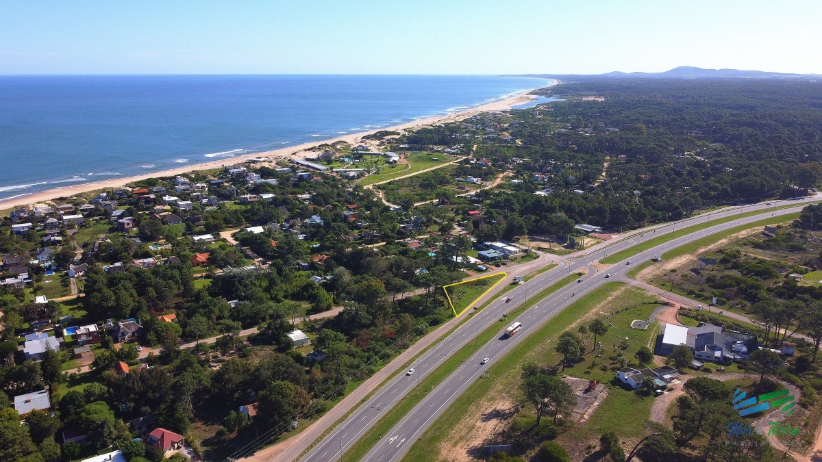 Tio Tom - GoPunta - Portal Inmobiliario de Punta del Este - Maldonado