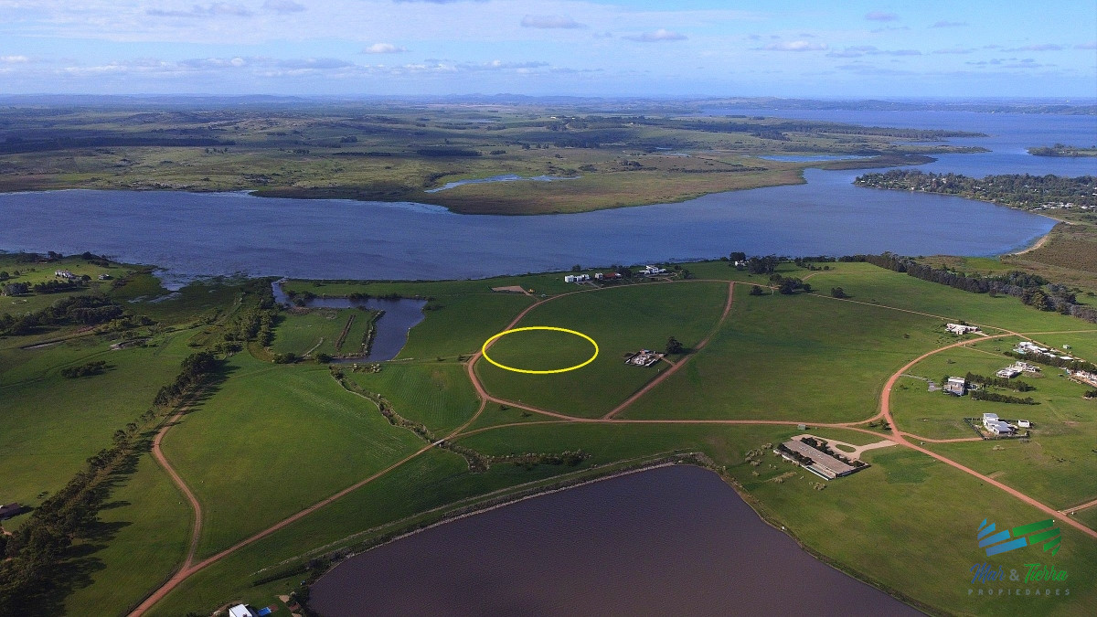 Laguna de los Cisnes - GoPunta - Portal Inmobiliario de Punta del Este - Maldonado