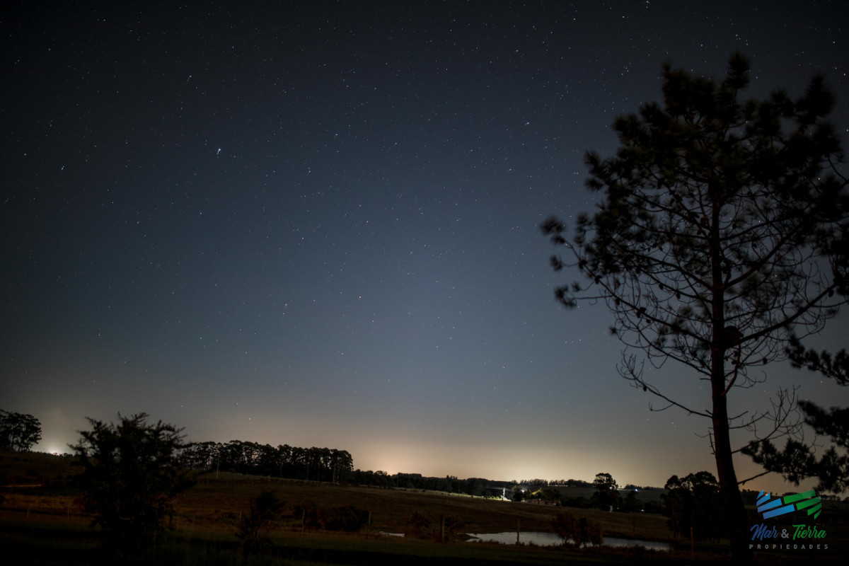 Terreno ID.5566 - Venta de terreno con 4.000 m2 en La Morenita José Igncio