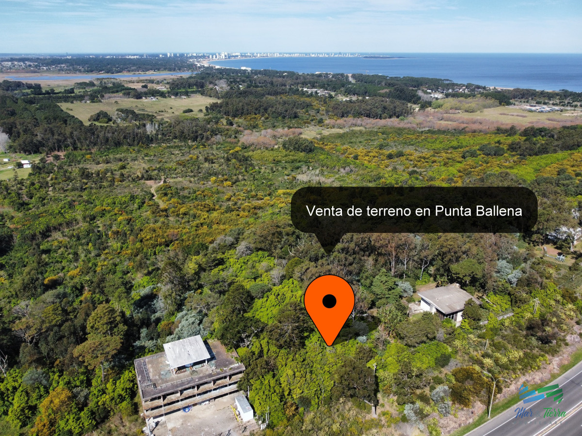 Terreno ID.5424 - Venta de terreno Panorámico en el Lomo de Punta Ballena - Punta del Este - Maldonado, Uruguay